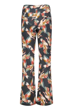 DiDi Travel pants Falcon Skydancer print- Travel | Lange Broeken